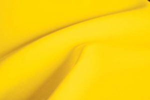 Mimosa: Bright Yellow