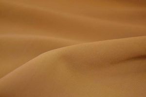 Biscotto: Tan